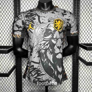Maillot Match Pays Bas Jordan 2024 gris