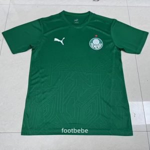 Maillot Palmeiras 2025 2026 concept vert