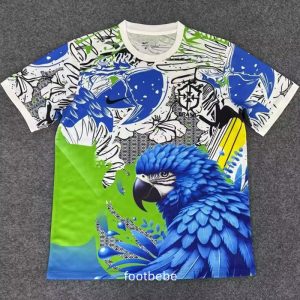 Maillot Brésil 2025 2026 concept version B