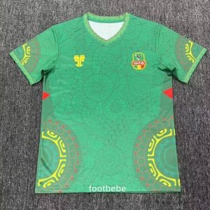 Maillot Mali 2025 2026 Vert