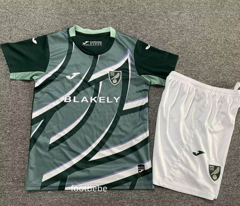 Maillot Norwich City Enfant 2025 2026 exterieur