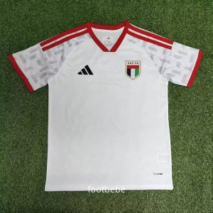 Maillot Émirats arabes unis 2026 2027 domicile