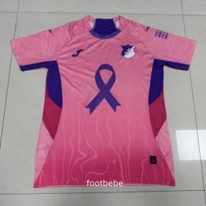 Maillot Hoffenheim 2025 2026 Rose