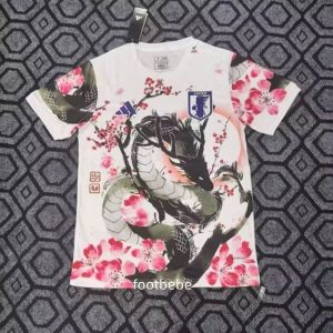 Maillot Japon 2025 2026 Concept P