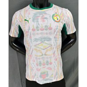 Maillot Match Sénégal Coupe du Monde 2026 domicile