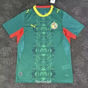 Maillot Sénégal Coupe du Monde 2026 exterieur