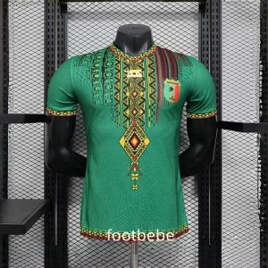 Maillot Match Mali 2025 2026 Vert B