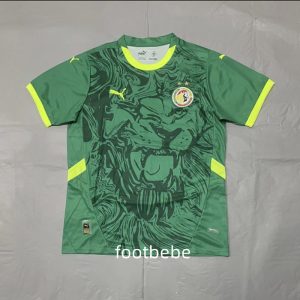 Maillot Sénégal 2025 CAN exterieur Avec 2 étoile