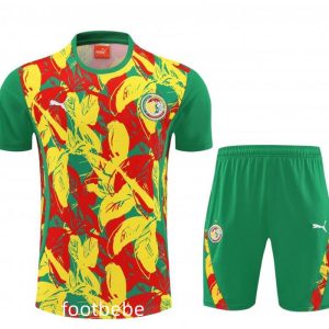 Ensemble Sénégal 2025 2026 couleur