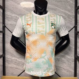 Maillot Match Côte d'Ivoire Coupe du monde 2026 exterieur