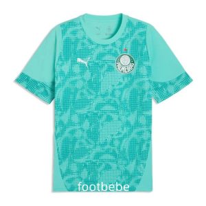Maillot Palmeiras 2026 2027 entraînement vert clair
