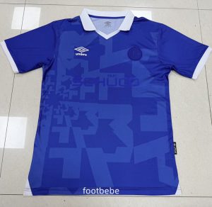 Maillot Arminia Bielefeld 2026 100 ans