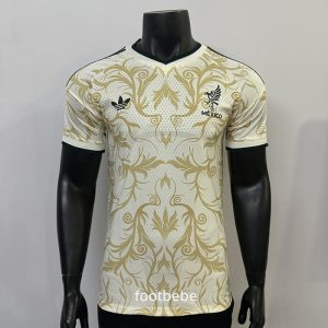 Maillot Match Mexique 2026 2027 Concept K