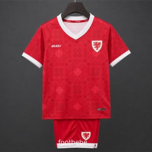 Maillot Pays de Galles Enfant 2026 2027 domicile
