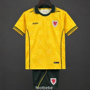 Maillot Pays de Galles Enfant 2026 2027 exterieur